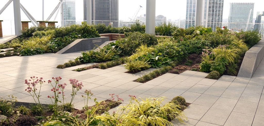 a very nice looking garden with some plants