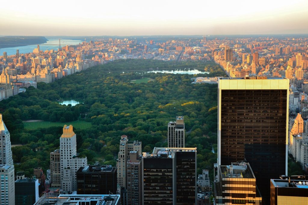 a view of the city skyline from above