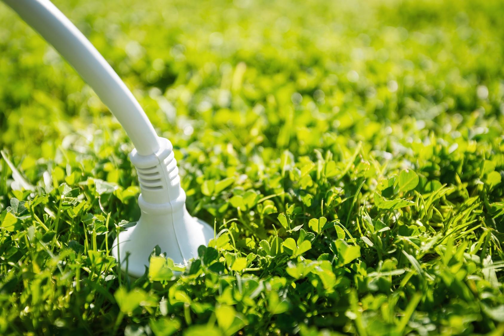 a white cord connected to an electric plug in the grass
