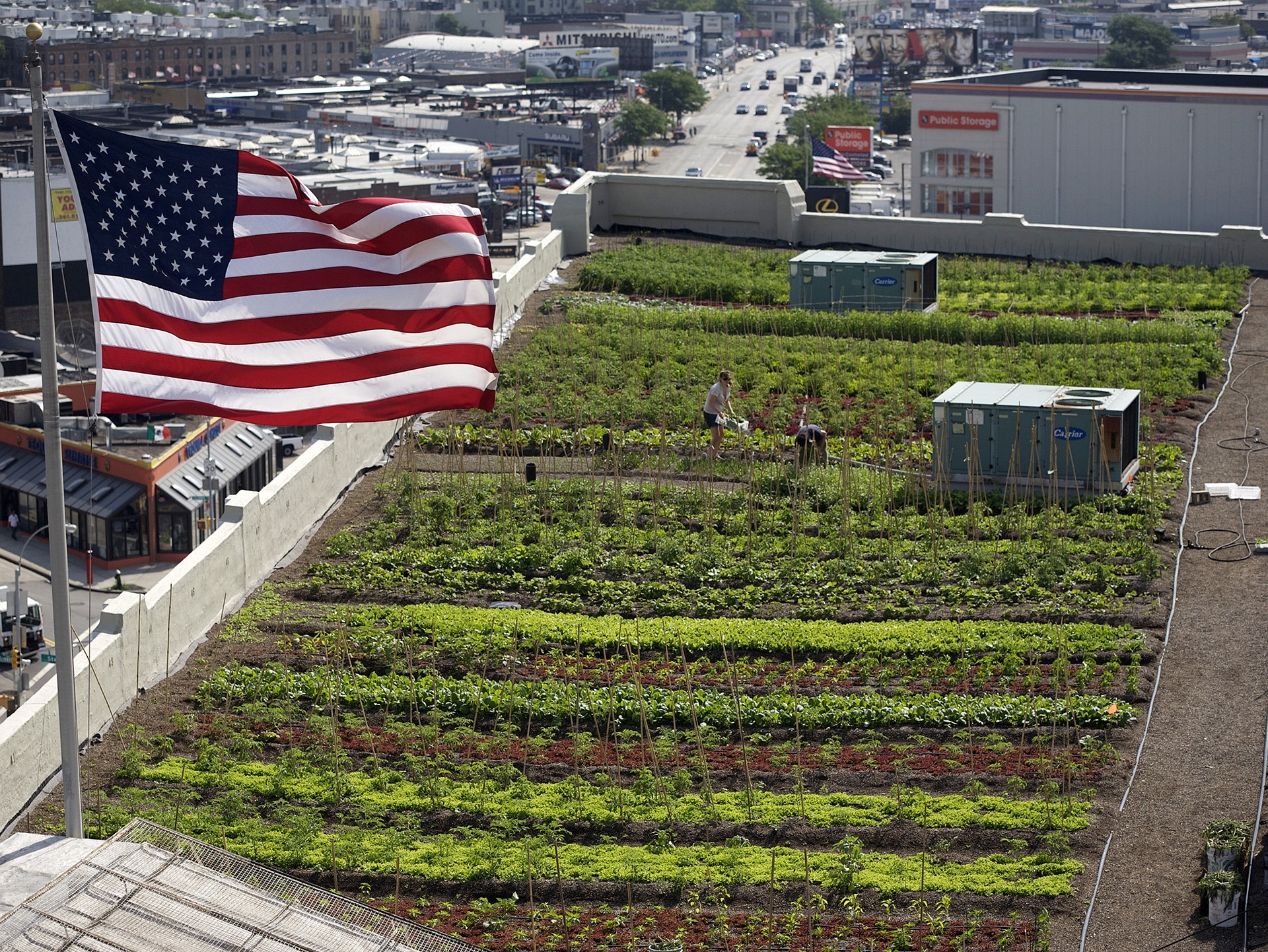 an american flag is flying over a garden