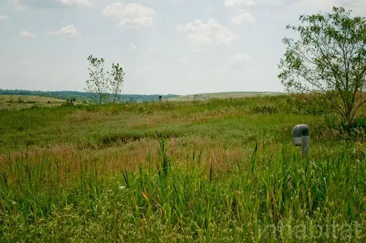 Freshkills