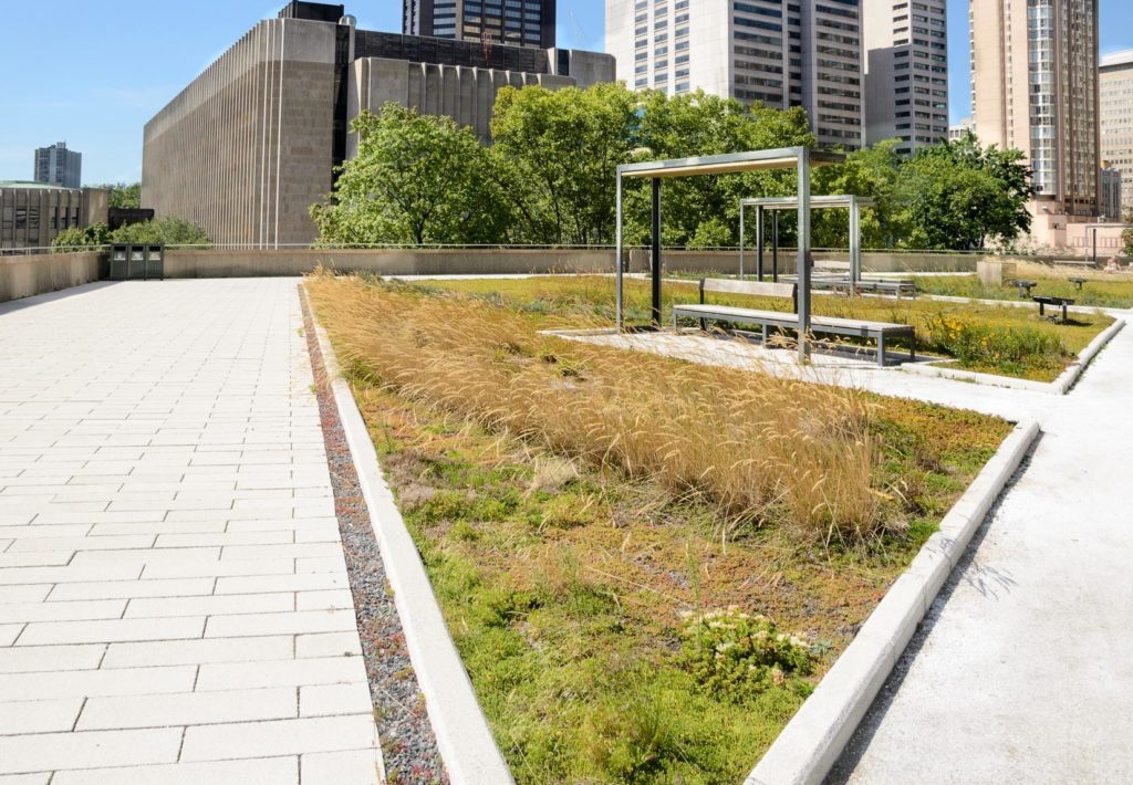 a grassy field with benches and buildings in the background