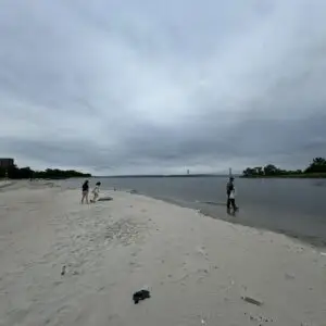 The Billion Oyster Project: Reviving New York’s Waters 2 image 3