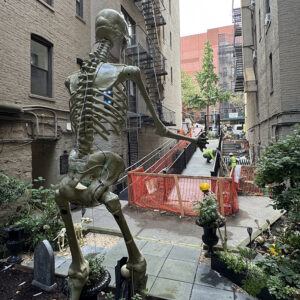 2026.10.26 blog skeleton crew3 2026.10.12 1